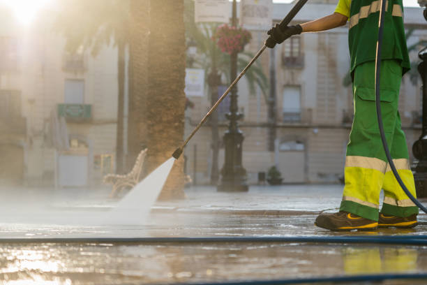 Best Sidewalk and Walkway Cleaning  in Rio Grande City, TX